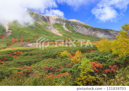 Autumn leaves at Norikura 131839703