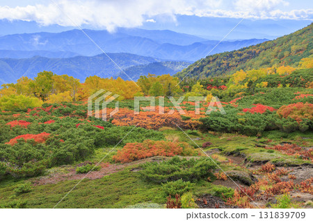Autumn leaves at Norikura Autumn leaves at Norikura 131839709
