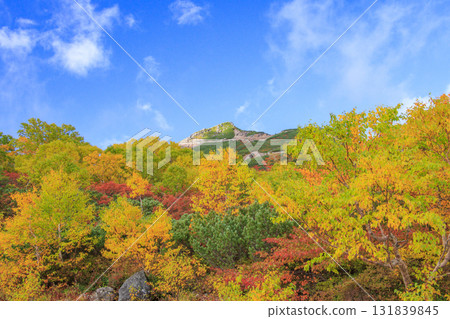 乘鞍的紅葉 131839845