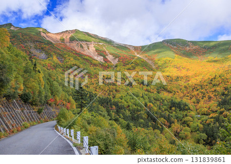 乘鞍的紅葉 131839861