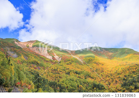 乘鞍的紅葉 乘鞍的紅葉 131839863