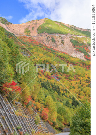 乘鞍的紅葉 131839864