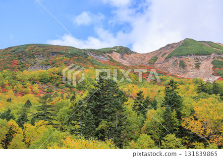 乘鞍的紅葉 131839865