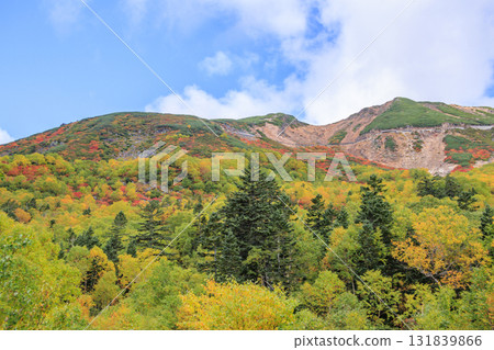 乘鞍的紅葉 131839866