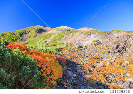 乘鞍的紅葉 乘鞍的紅葉 131839868