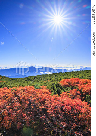 Autumn leaves at Norikura 131839870