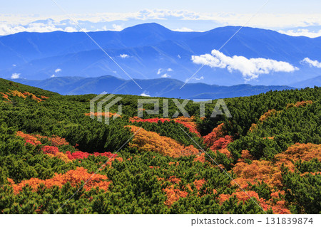 Autumn leaves at Norikura Autumn leaves at Norikura 131839874