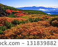 乘鞍的紅葉 131839882