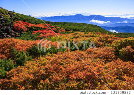 乘鞍的紅葉 131839882