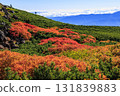 乘鞍的紅葉 131839883