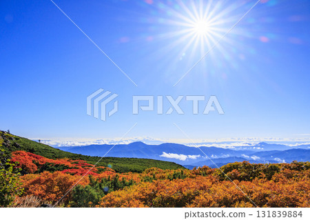 乘鞍的紅葉 131839884