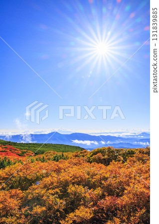 Autumn leaves at Norikura Autumn leaves at Norikura 131839885