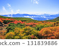 乘鞍的紅葉 131839886