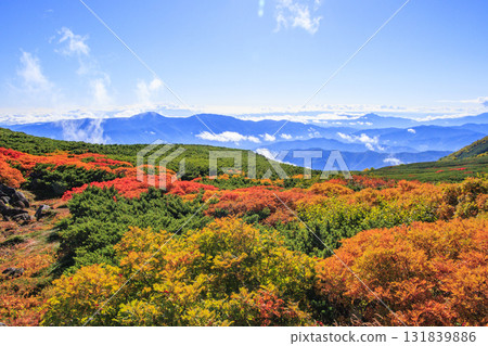 乘鞍的紅葉 131839886