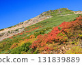 乘鞍的紅葉 131839889