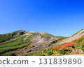 乘鞍的紅葉 131839890
