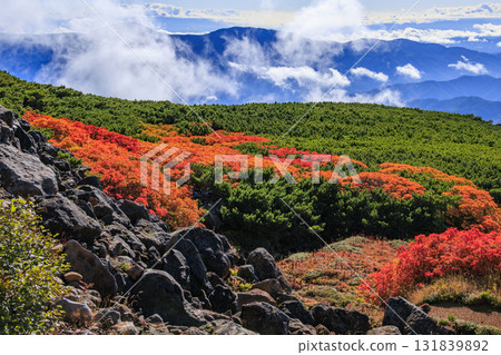 乘鞍的紅葉 131839892