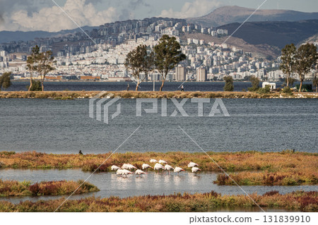 Izmir city view from Izmir Inciralti lagoon 131839910
