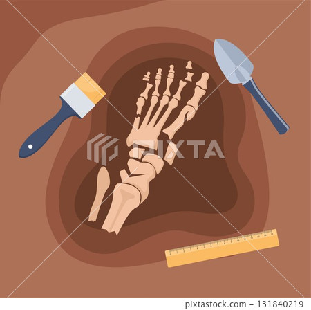 Human foot bones. Archaeological find. Historical value. Image for books, articles, posters, archeology, history of past, excavations presentations. Vector 131840219