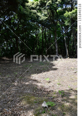 七尾城 092 城內、登山道 七尾城 092 城內、登山道 131840318
