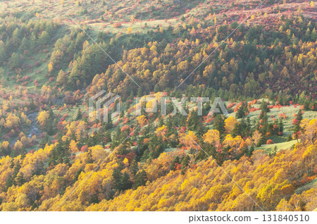 Autumn foliage at Yoshigahira seen from Shibu Pass on the border between Gunma and Nagano prefectures 131840510