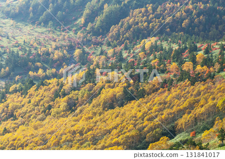 Autumn foliage at Yoshigahira seen from Shibu Pass on the border between Gunma and Nagano prefectures 131841017