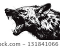 Hyena head snarling displaying aggression vector illustration 131841066