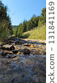 Pure mountain stream flowing through rocks and vegetation 131841169