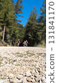 Cyclists riding mountain bikes on gravel road in forest 131841170