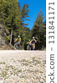 Cyclists riding mountain bikes on gravel road in forest 131841171