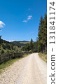 Gravel road winding through scenic mountain valley in Romania 131841174