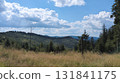 Breathtaking mountain landscape with lush meadows and pine trees under cloudy sky 131841175