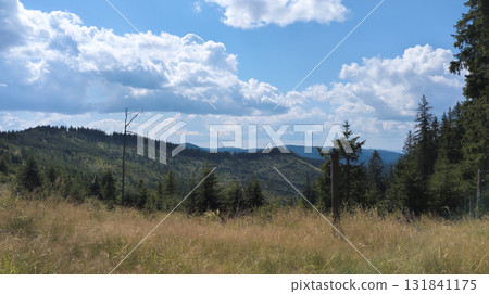 Breathtaking mountain landscape with lush meadows and pine trees under cloudy sky Breathtaking mountain landscape with lush meadows and pine trees under cloudy sky 131841175