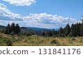 Breathtaking mountain landscape with lush meadows and pine trees under cloudy sky 131841176