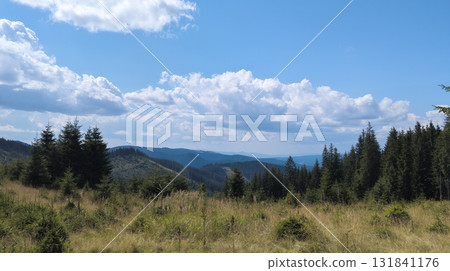 Breathtaking mountain landscape with lush meadows and pine trees under cloudy sky Breathtaking mountain landscape with lush meadows and pine trees under cloudy sky 131841176