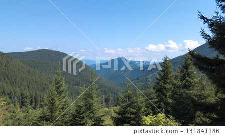 Lush green valley and mountains dominating the landscape under blue sky Lush green valley and mountains dominating the landscape under blue sky 131841186