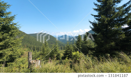 Lush green valley and mountains dominating the landscape under blue sky Lush green valley and mountains dominating the landscape under blue sky 131841187