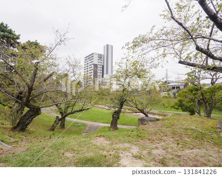 Okazaki Castle Park in autumn Okazaki Castle Park in autumn 131841226