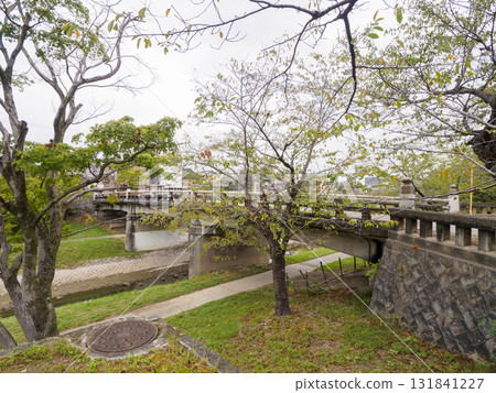 Okazaki Castle Park in autumn 131841227