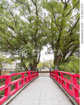 岡崎城公園的秋天 131841233