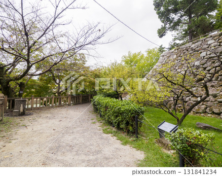 岡崎城公園的秋天 131841234