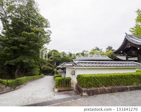 岡崎城公園的秋天 岡崎城公園的秋天 131841270