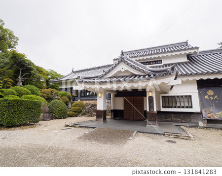 岡崎城公園的秋天 131841283