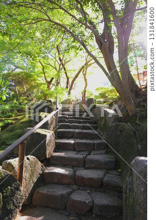 The approach to Hokokuji Temple in Kamakura and green maples 131841600