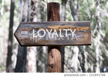 LOYALTY text written on a wooden signpost against a forest background. Customer review satisfaction feedback survey concept LOYALTY text written on a wooden signpost against a forest background. Customer review satisfaction feedback survey concept 131841786