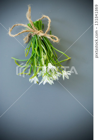Delicate white snowdrops with a rope Delicate white snowdrops with a rope 131841869