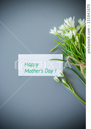 Bunch of spring snowdrops on a gray background Bunch of spring snowdrops on a gray background 131841870