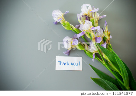 Spring irises in a minimalist composition Spring irises in a minimalist composition 131841877