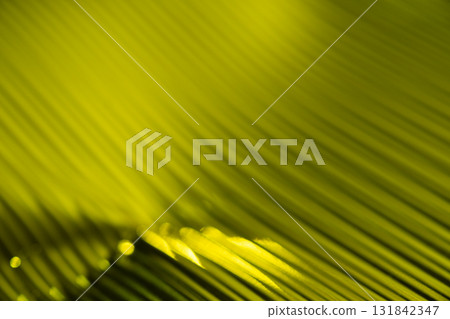 Yellow-green metallic sparkling background material Yellow-green metallic sparkling background material 131842347
