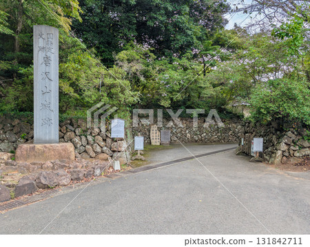 栃木縣佐野市藤町唐澤山城跡：錯落有致的城門 131842711